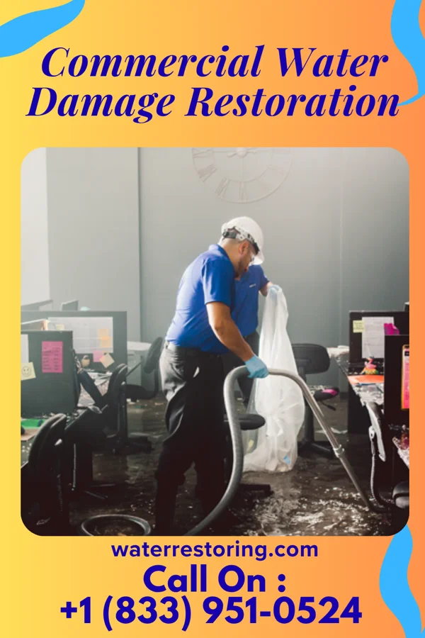 Commercial Water Damage Restoration in Monroe Center, IL