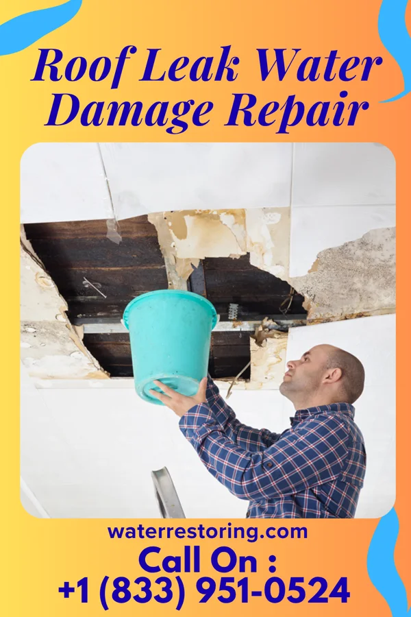 Roof Leak Water Damage Repair in Monroe Center, IL