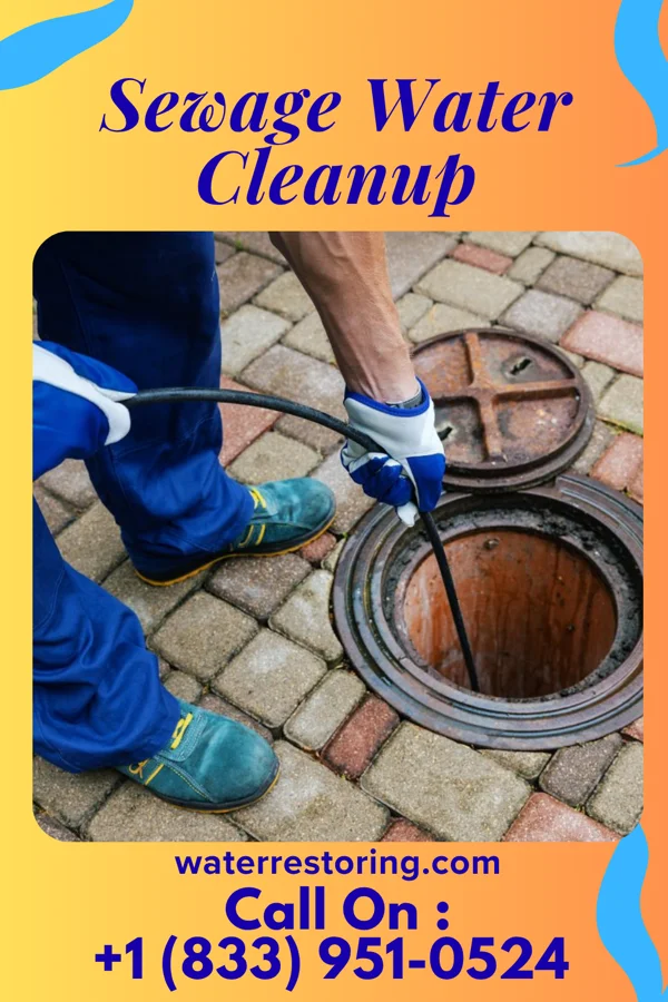 Sewage Water Cleanup in Monroe Center, IL